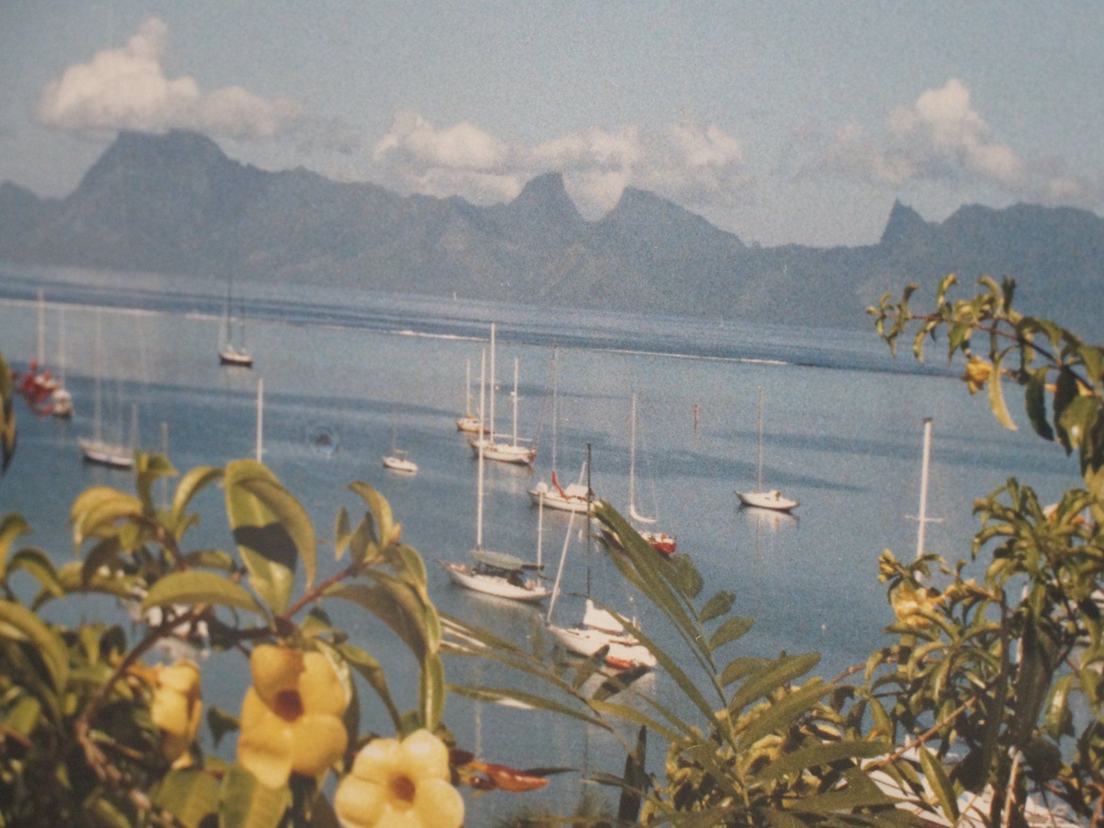 Foto & Immagini: Tahiti Fotobildrahmen – Usato da Rüti ZH venduto da Restwert_Rueti_ZH 3