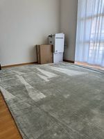 Hochwertiger Salbeigrüner Viskose Teppich 200x300