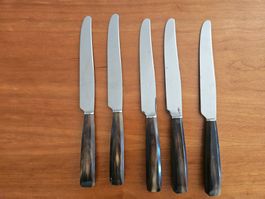 5 Messer Inox mit Horngriffen
