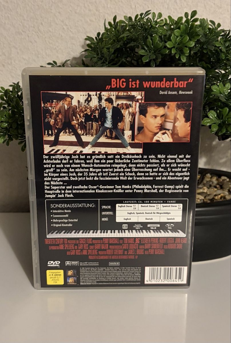 Tutti i DVDs: Big - Tom Hanks  (DVD) – Usato da Flawil venduto da NiceT 1