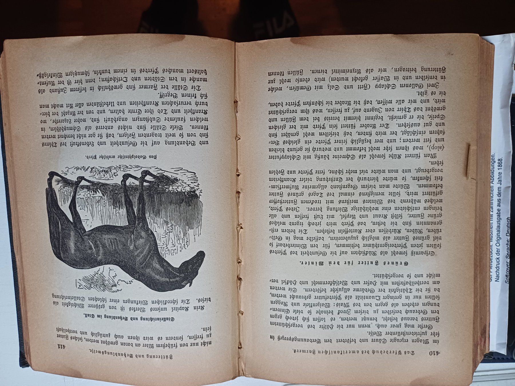 Libri: Pferdebuch amerikanischen Farmer. 1870 – Usato da Zürich venduto da regaflo 1