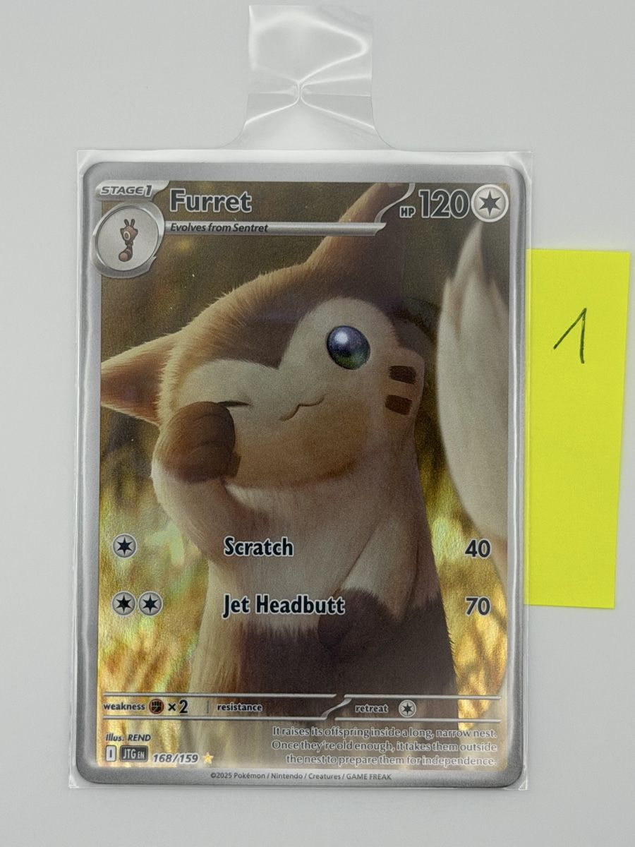 Pokémon Carte collezionabili: Pokémon Furret 168/159 – Nuovo (secondo la descrizione) da Uster venduto da CDM96