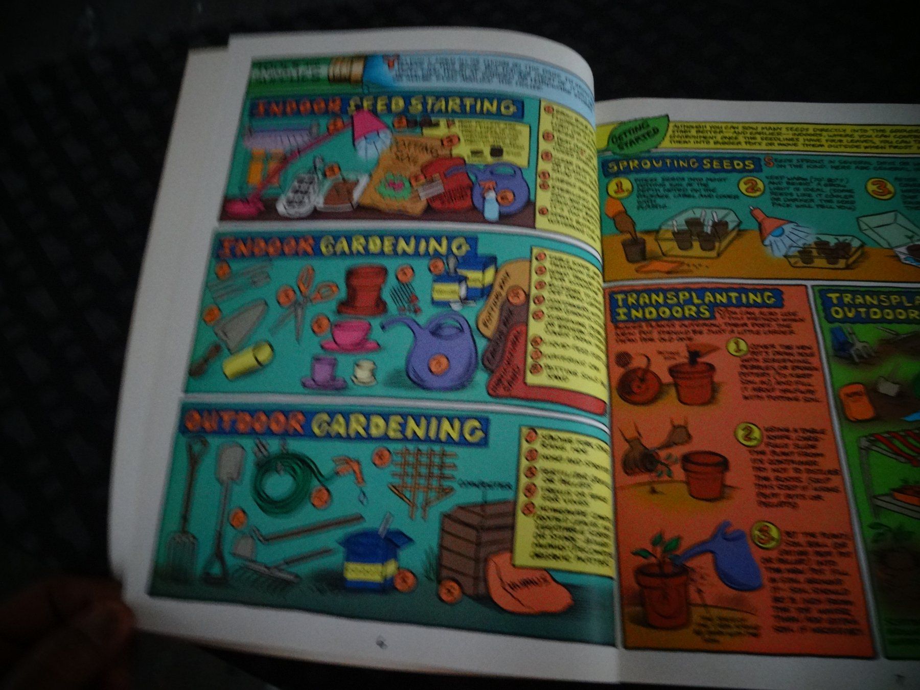 Bücher: Weird Things – Gebraucht aus Neerach von jenny062 4