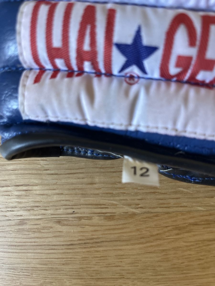Gants & mitaines : Thai Gear Boxing Gloves Blue – D'occasion à Lausanne par me6_8tc5 2