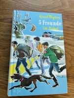 Enid Blyton 5 Freunde im Nebel Buch gebundenes Exemplar
