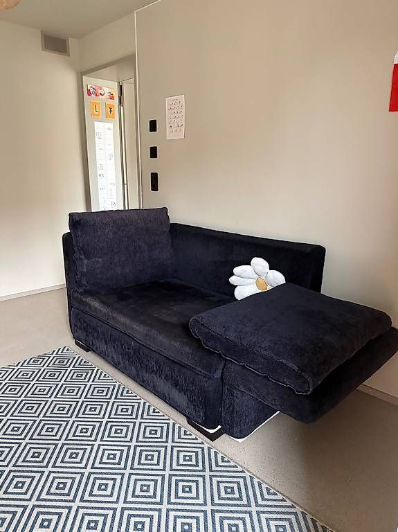 Divani: Schlafsofa 160x 200 – Usato da Zürich venduto da ann_2kwr 1