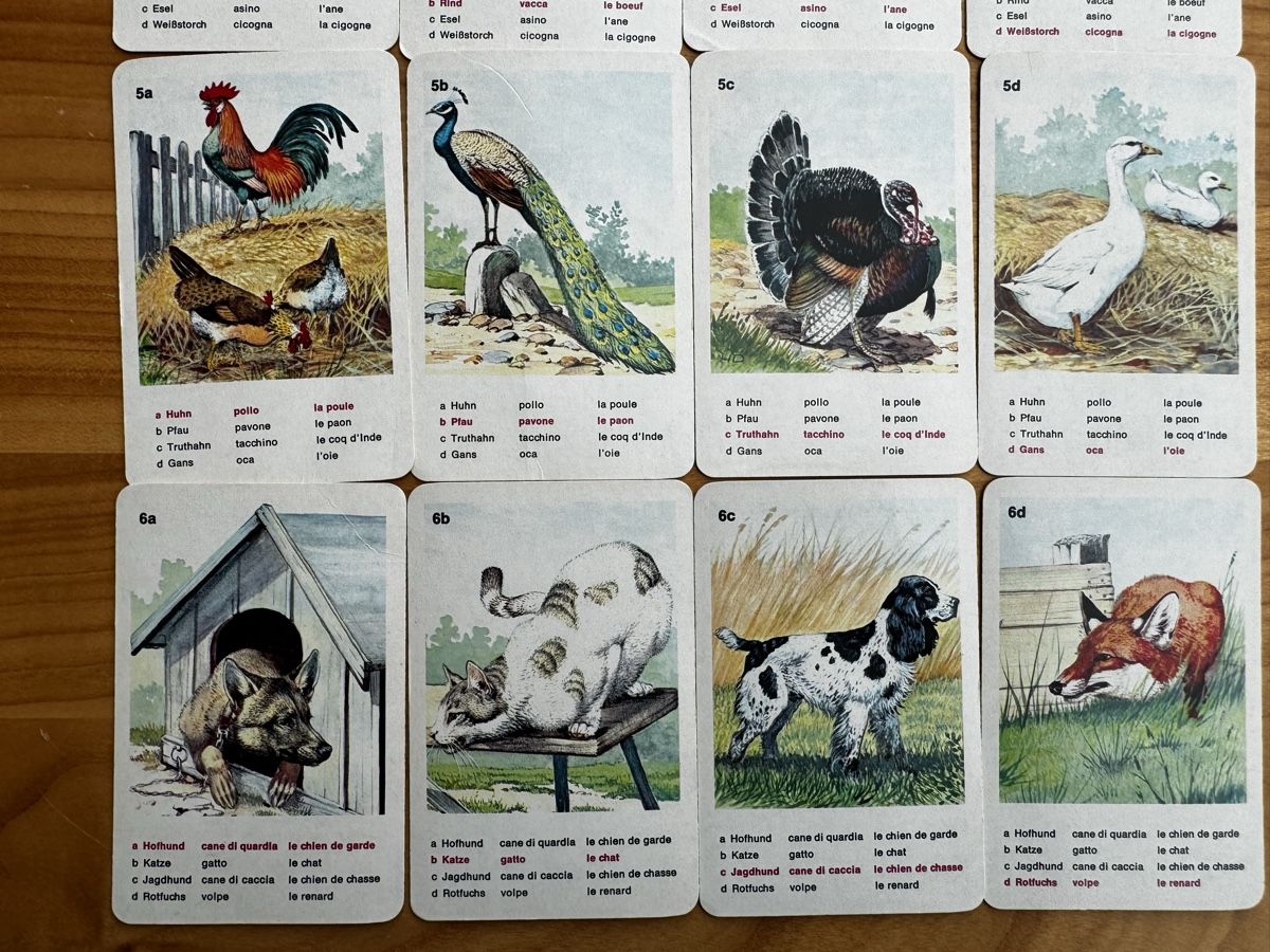 Giochi: TIERWELT QUARRTET von SUCHARD EXPRESS – Usato da Honau venduto da sainj 1