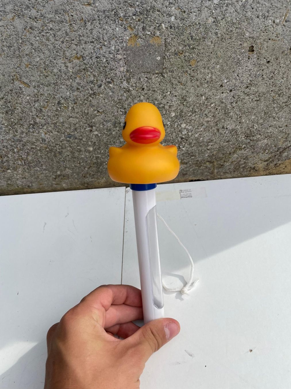 Piscine: Poolthermometer Ente schwimmend – Usato da Ebikon venduto da el_Pedro 2