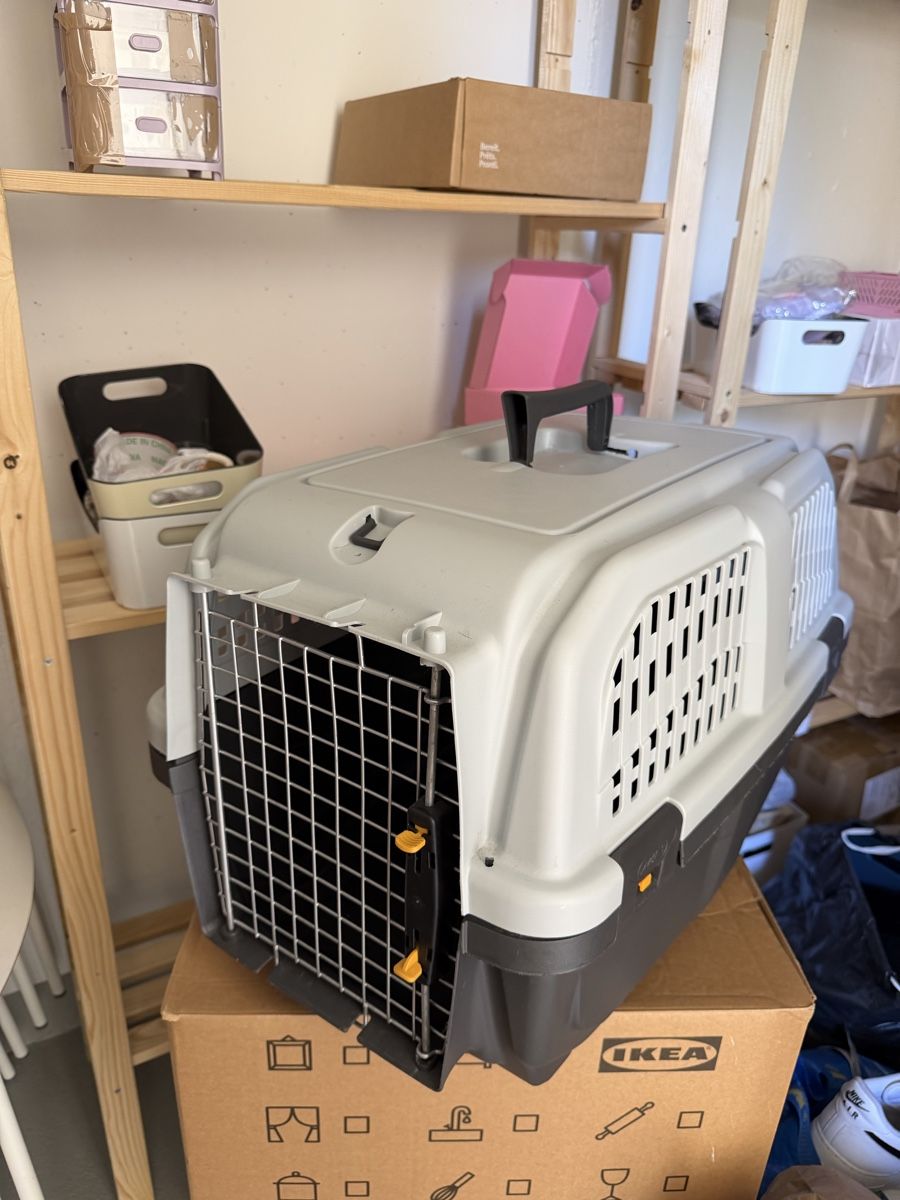 Gabbie, trasporto & Sicurezza: Hunde Box – Usato da Weggis venduto da fashion_2021