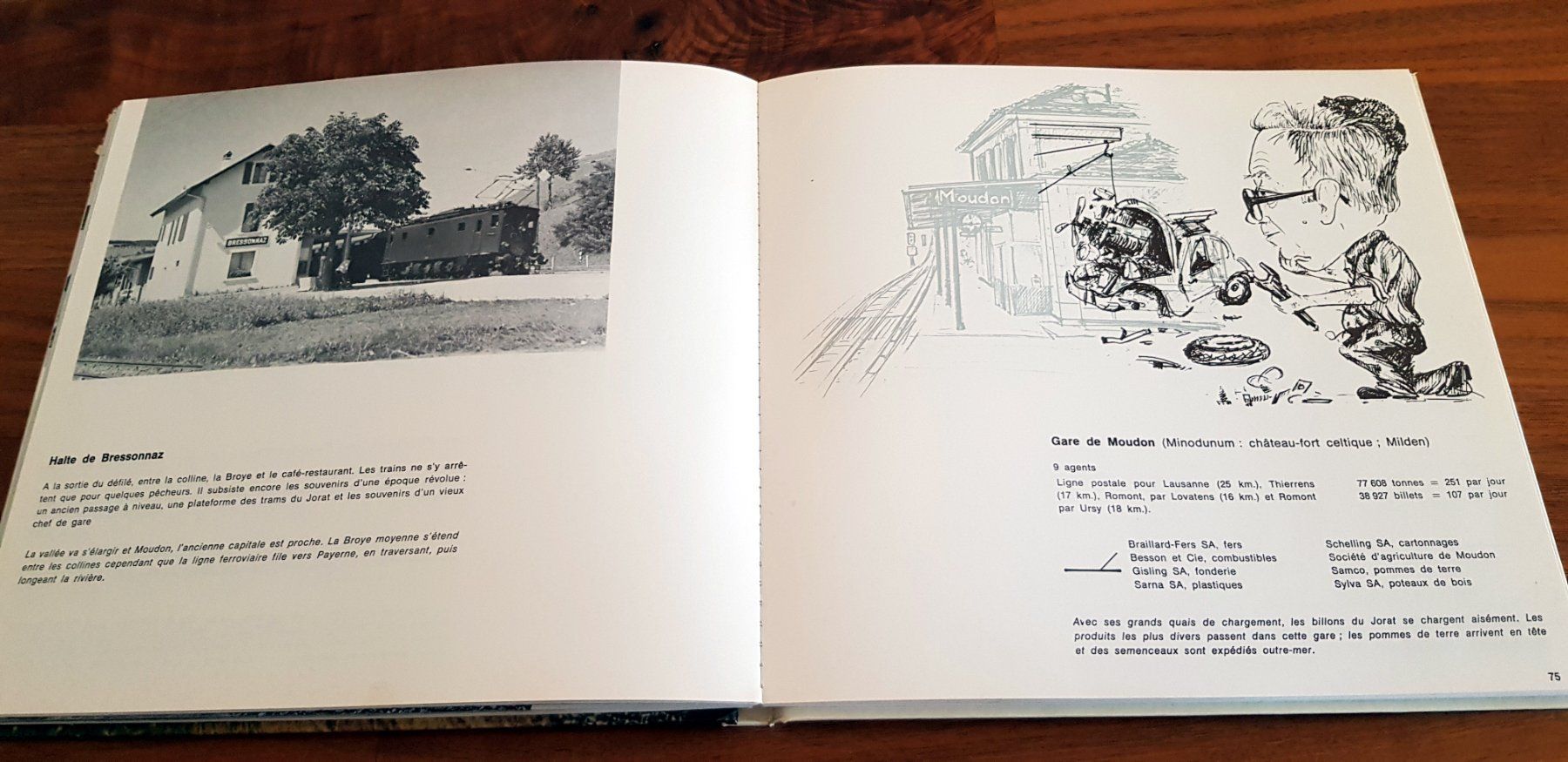 Libri: Chemins de fer de la Broye 1876-1976 – Usato da Birrwil venduto da dirtyoldtown 8