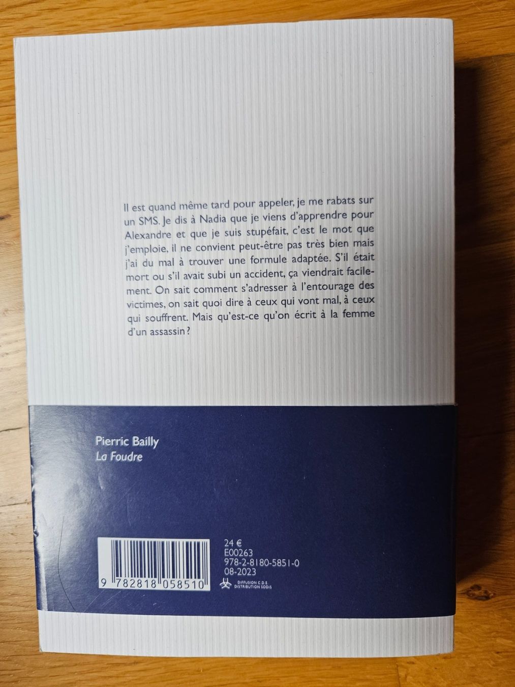 Libri: La Foudre, Pierre Bailly, P.O.L. – Usato da Vevey venduto da chr_q9cd 1