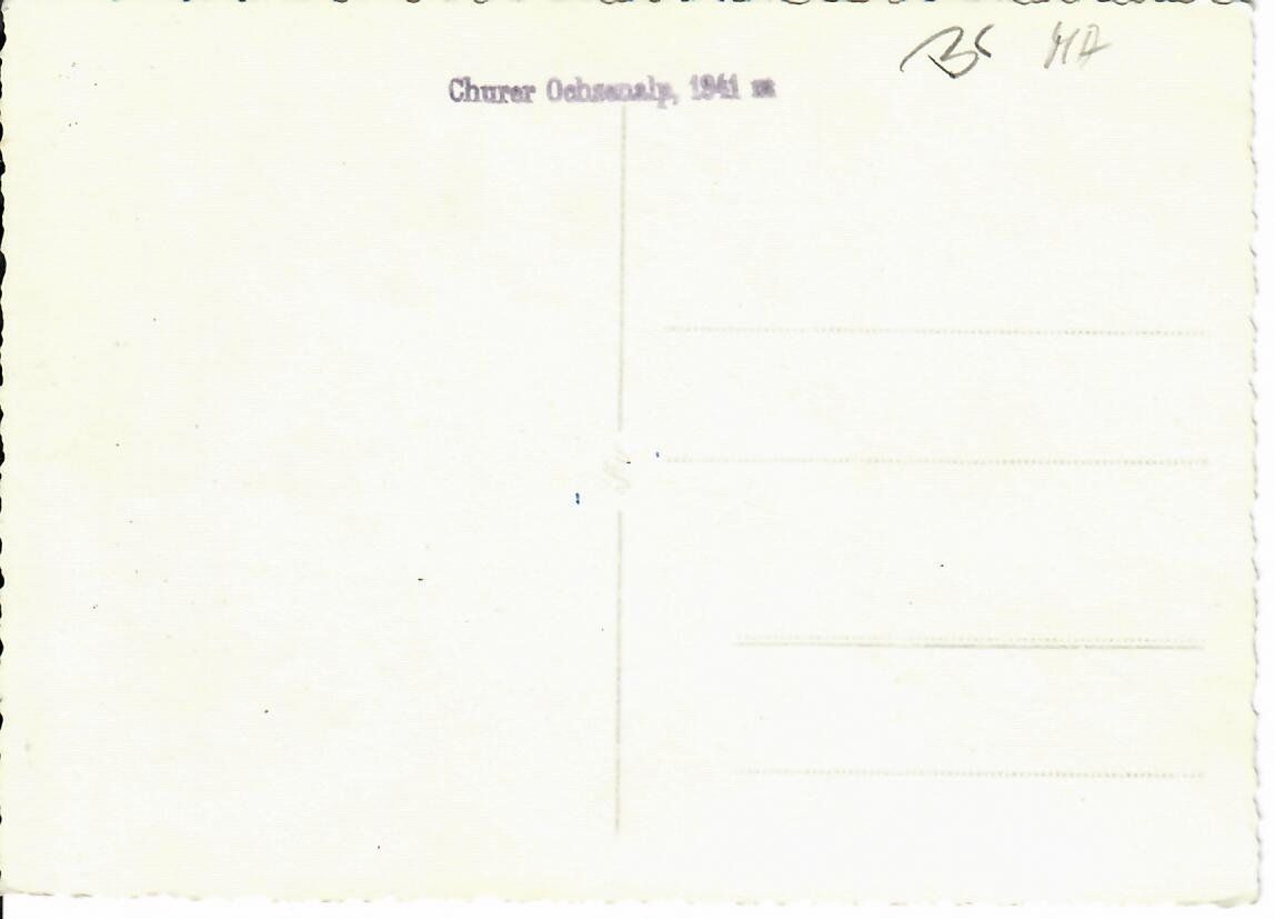 Cartoline postali: Churer Ochsenalp – Usato da Hochdorf venduto da Ziegel-16 1