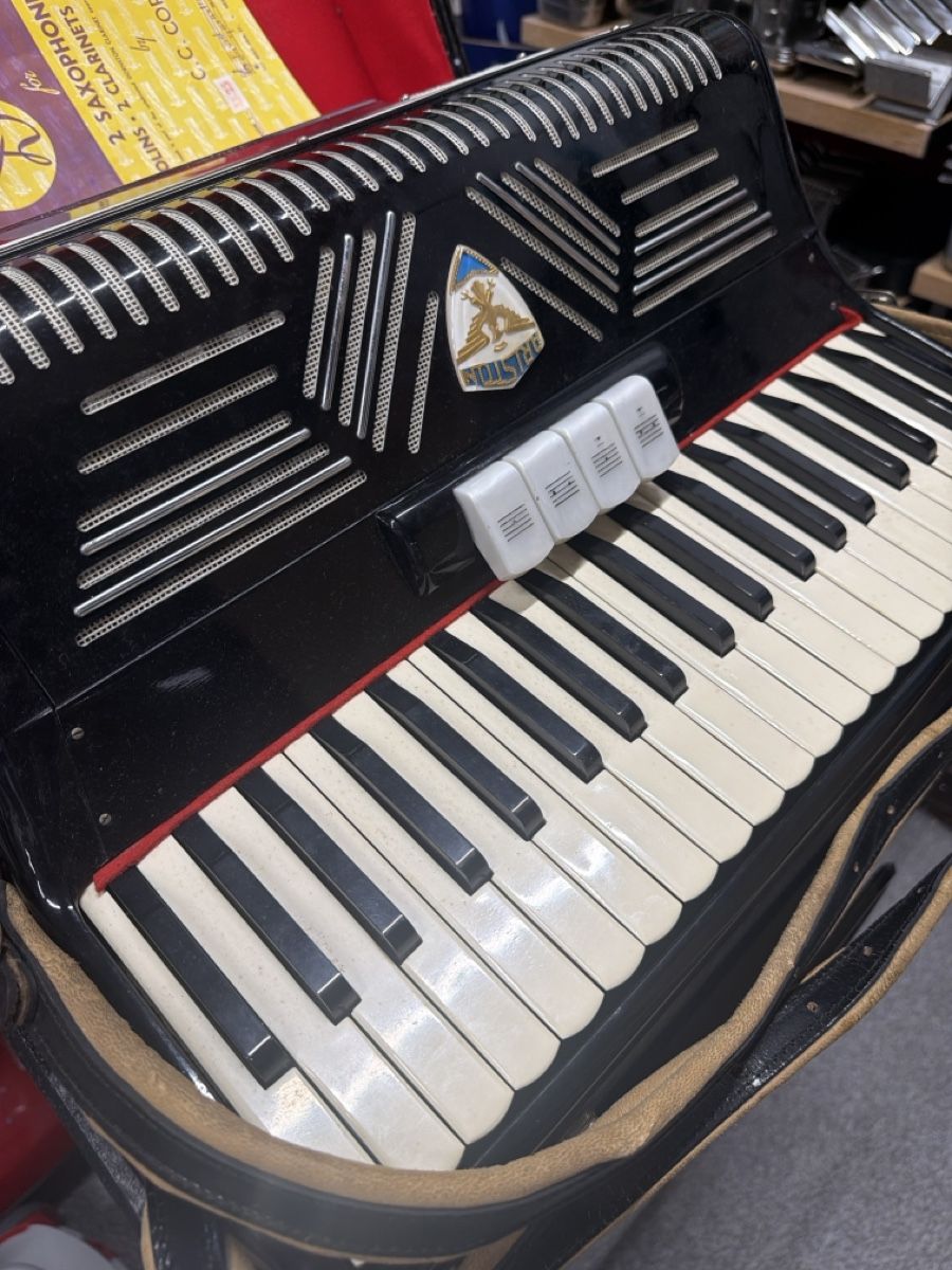 Strumenti musicali: Akkordeon Castelfidardo Ariston gebraucht – Usato da Nürensdorf venduto da Altrisa 3