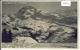 Nesslau - Generalansich im Winter
