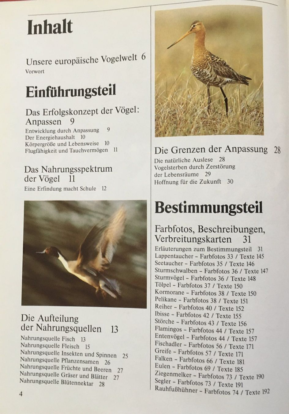 Libri: Fotoatlas der Vögel – Nuovo (secondo la descrizione) da Zürich venduto da Buechi49 2