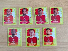 Panini WM 2026 verschiedene Bilder TUR