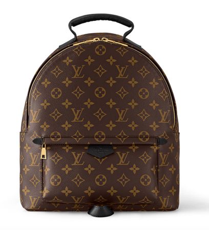 Louis Vuitton Palm Springs MM Monogram Canvas – Top Zustand