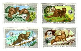 Briefmarken "Zobel". Mongolei