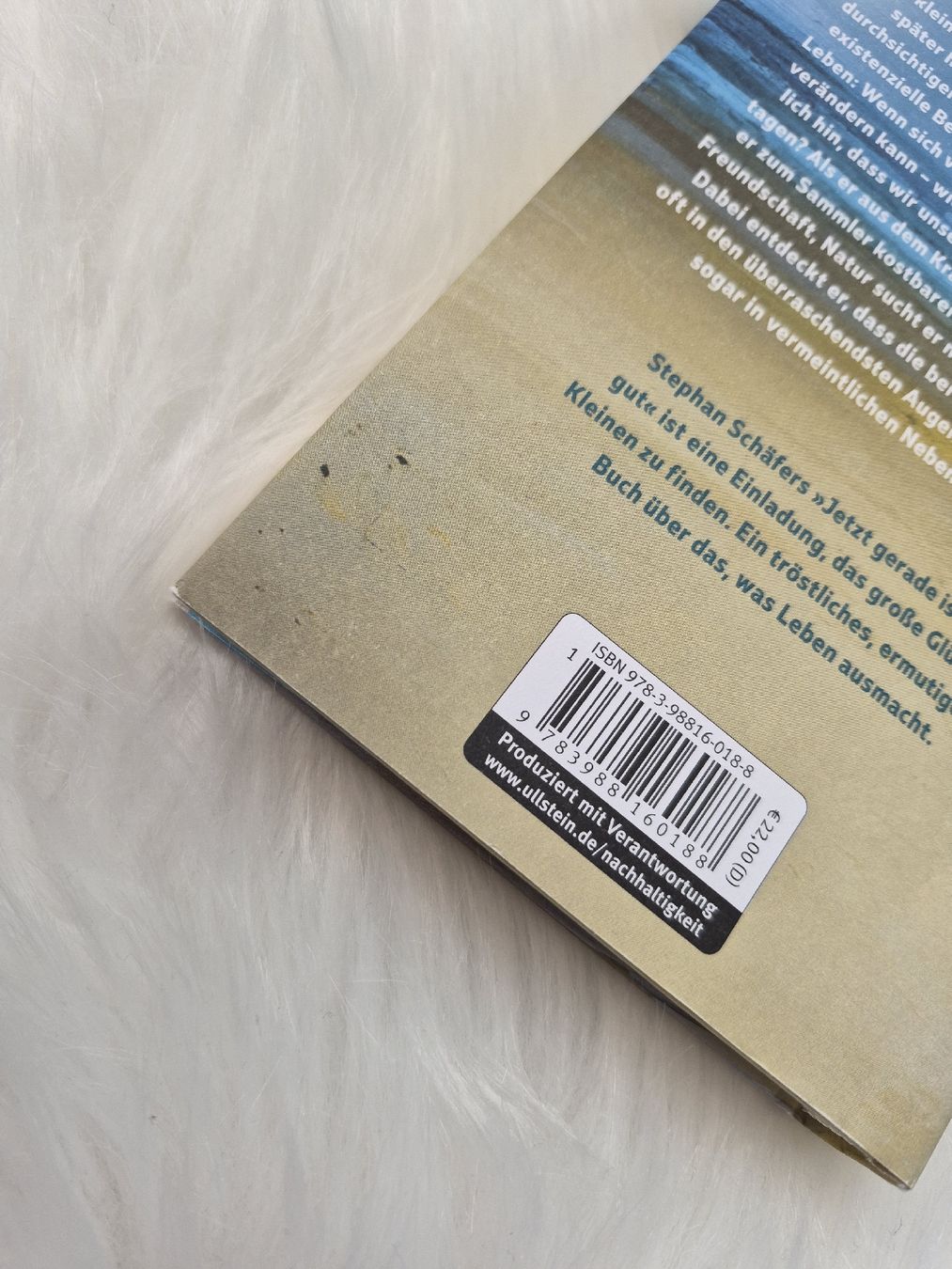 Livres: Buch Stephan Schäfer Jetzt gerade ist alles gut. – D'occasion à Altdorf SH par MR2509 2