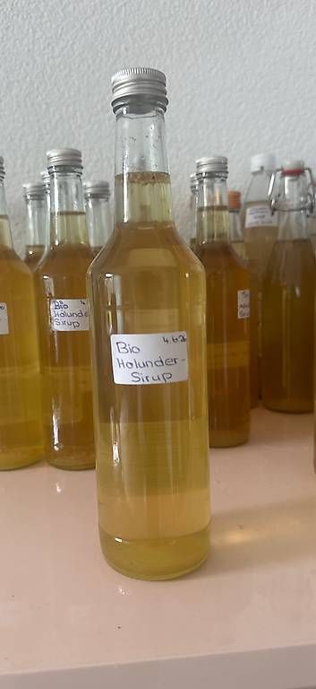 Cibi & Specialità: Bio Holunderblüten Sirup selbst gemacht – Usato da Tübach venduto da tanja_12_ 1
