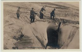 BE 211 Foto-AK Eigergletscher Eisgrotte o «Eigergletscher»