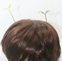 Haarspange Pflanze Gras Sprosse Haarschmuck