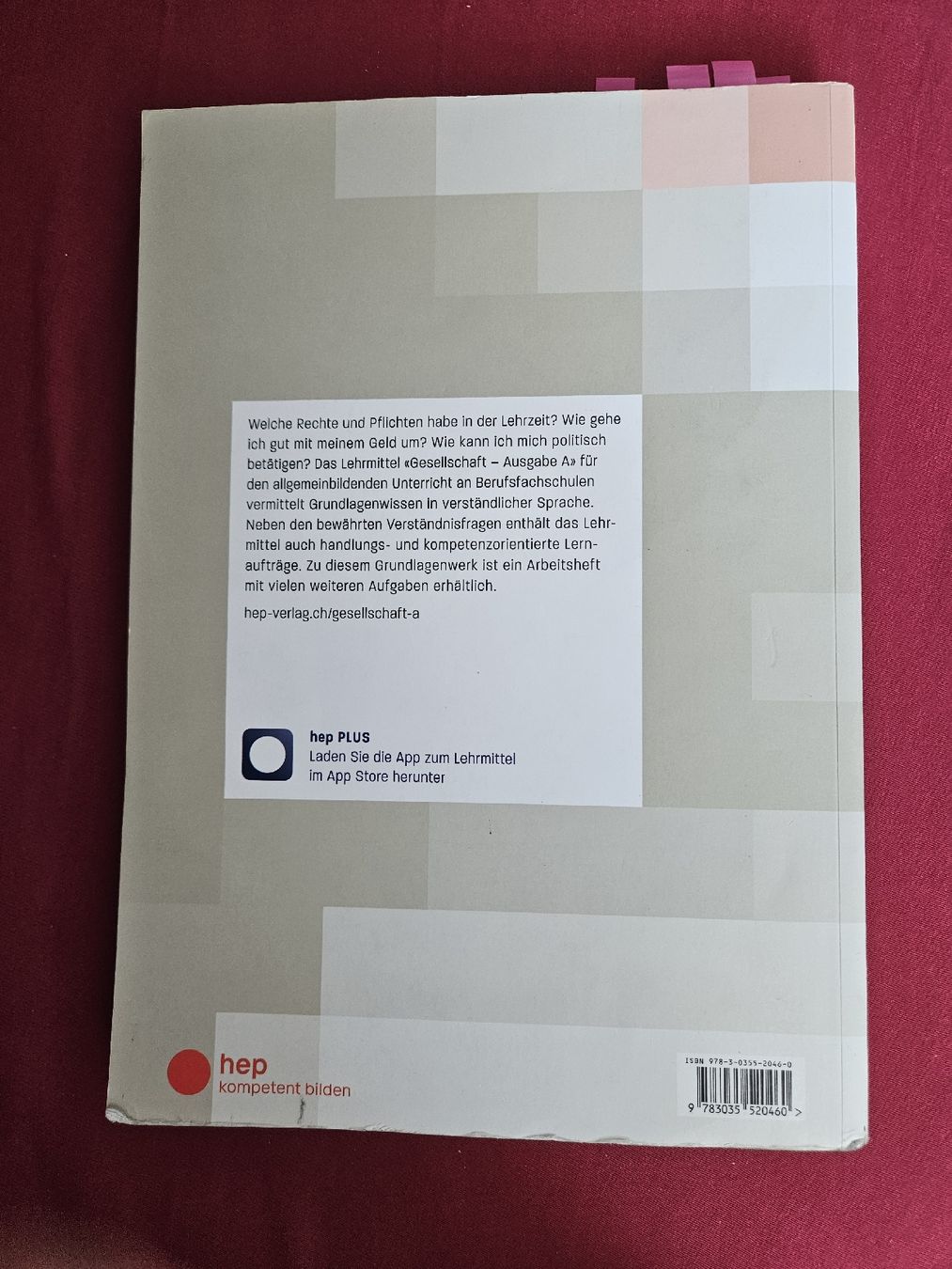 Livres: ABU Gesellschaft + Gesetzestexte hep Verlag – D'occasion à Bern par S.B.P 1