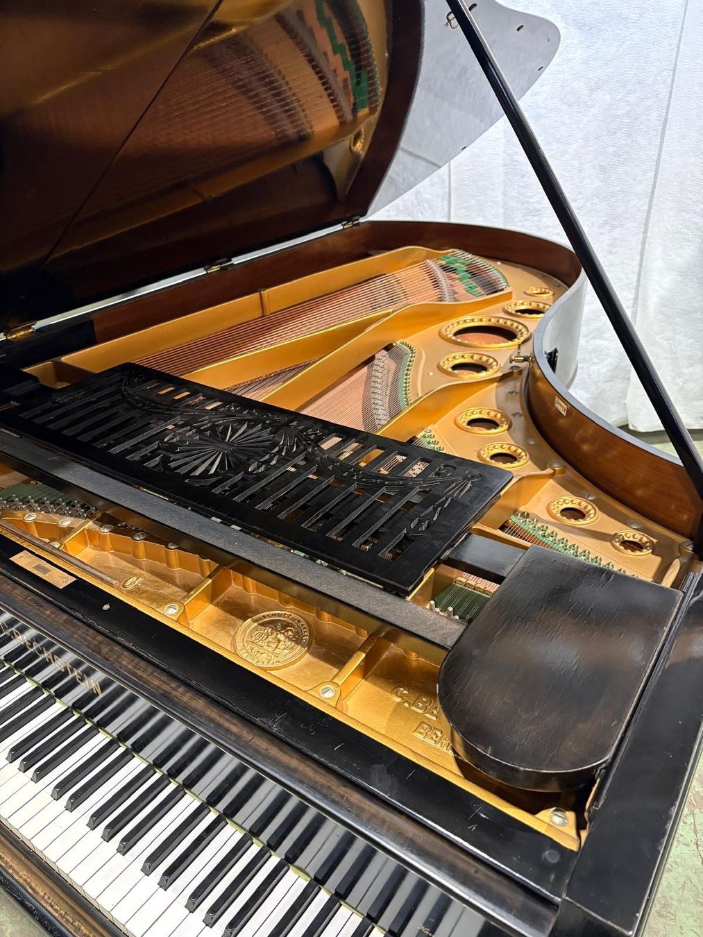 Strumenti musicali: Flügel C. Bechstein Berlin – Usato da Buchs SG venduto da MMmmnS 1