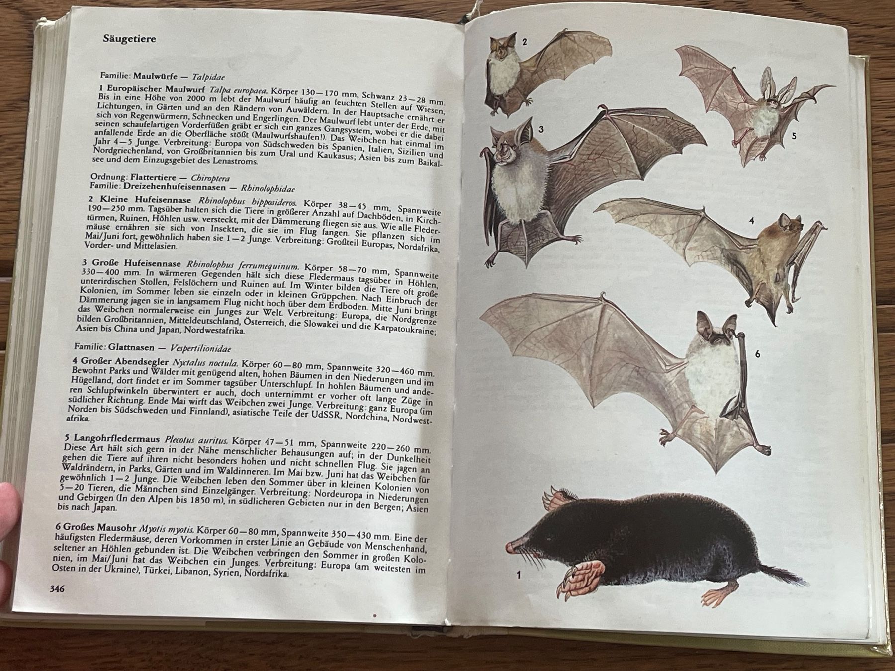 Bücher: dicker Kosmos Tierführer Europas - Zustand gebraucht – Gebraucht aus Zuerich von Dorsi 4