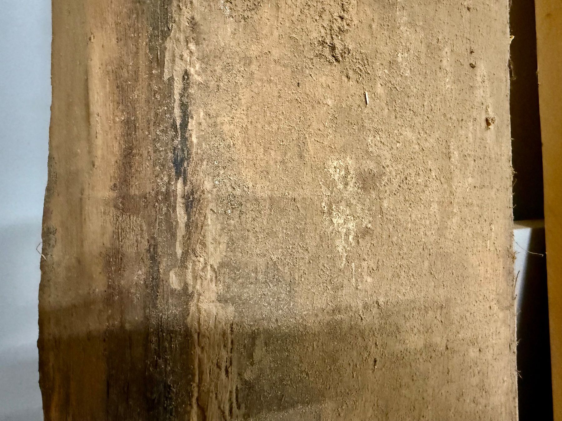 Articoli in legno: Plateau de hêtre(?) massif brut! – Usato da Chexbres venduto da rochecolombe 1