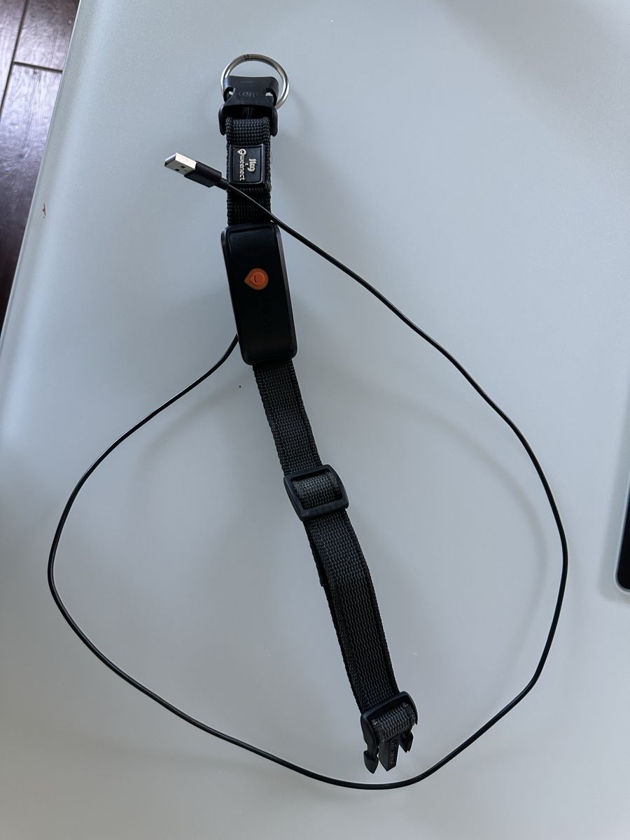 Autres accessoires pour animaux: Weenect Tracker mit Halsband  – D'occasion à Kappelen par Canaille