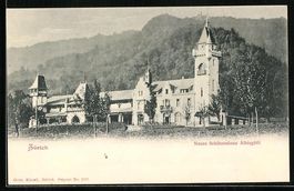 Zürich, Neues Schützenhaus Albisgütli