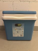 Kühlbox Gio'Style Fiesta 30L mit 6 Kühlakkus guter Zustand