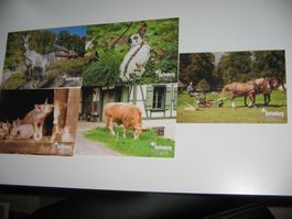 16 Postkarten Tier- und Heimatmotive (Ballenberg)