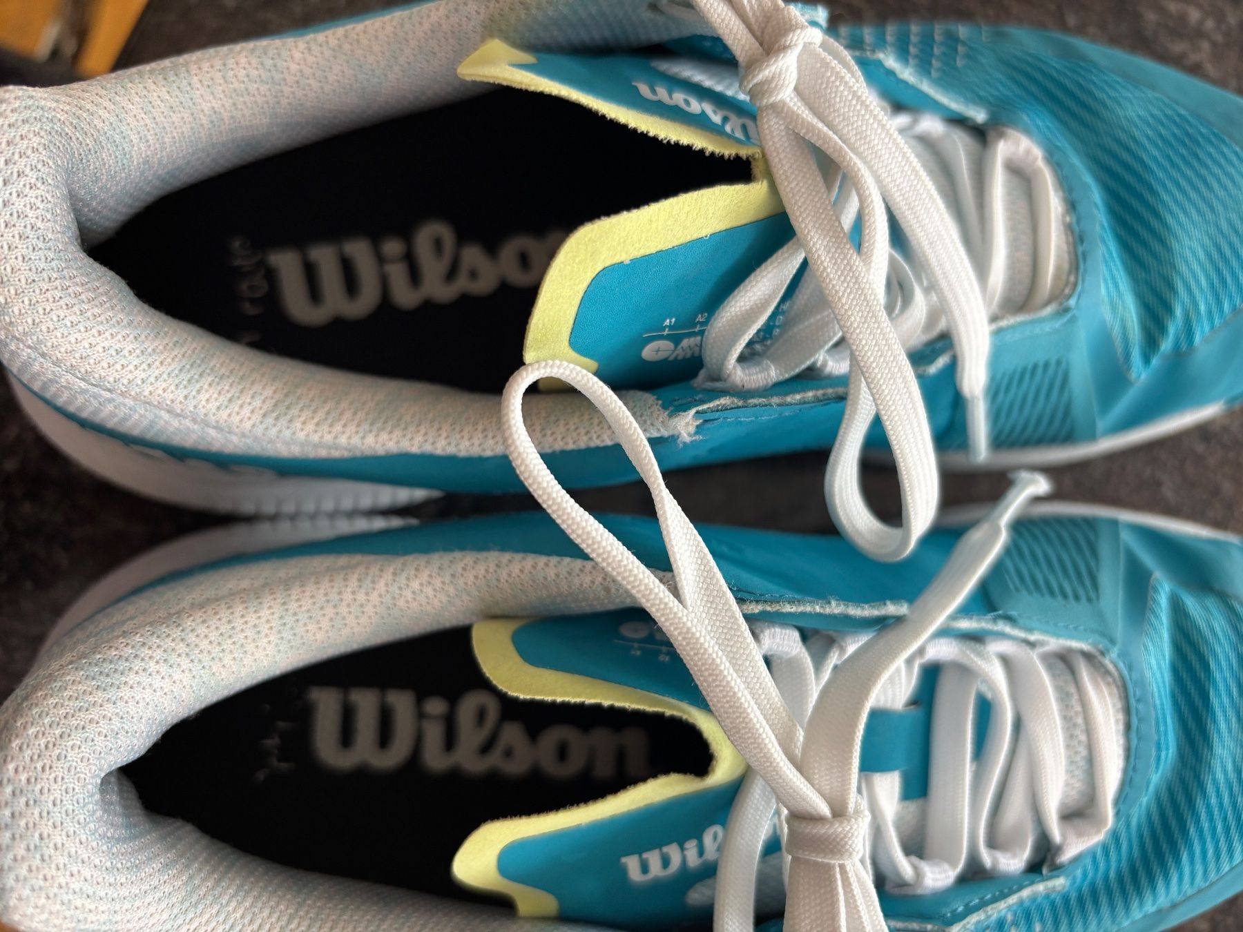 Wilson Chaussures femmes: Wilson Hallenschuhe Gr. 39 1/3 – D'occasion à Hasliberg-Hohfluh par hasliberg79 4