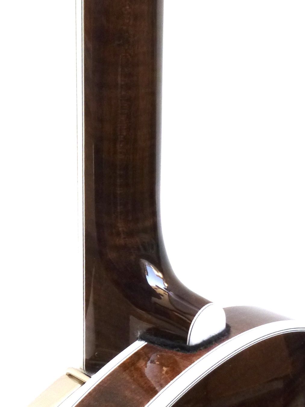 Strumenti musicali: DEERING Maple Blossom – Nuovo e nell'imballaggio originale da Schaffhausen venduto da Saitensprung_SH 3