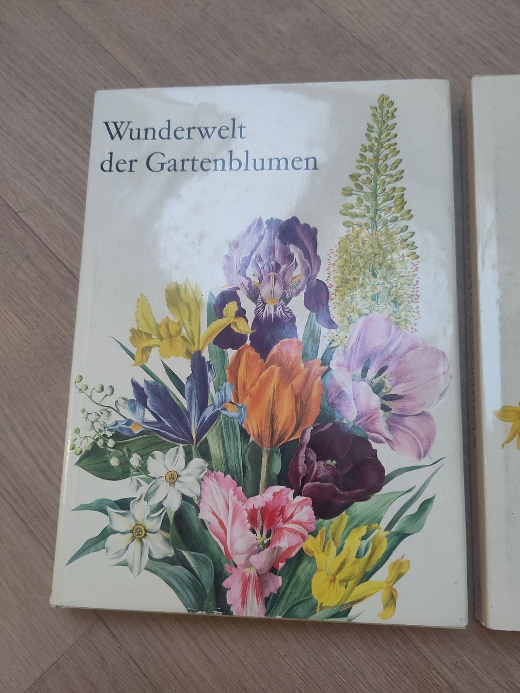 Livres: Zwei antike Bücher "Wunderwelt der Garten, schön illustriert – D'occasion à Zürich par her_yqt7 1