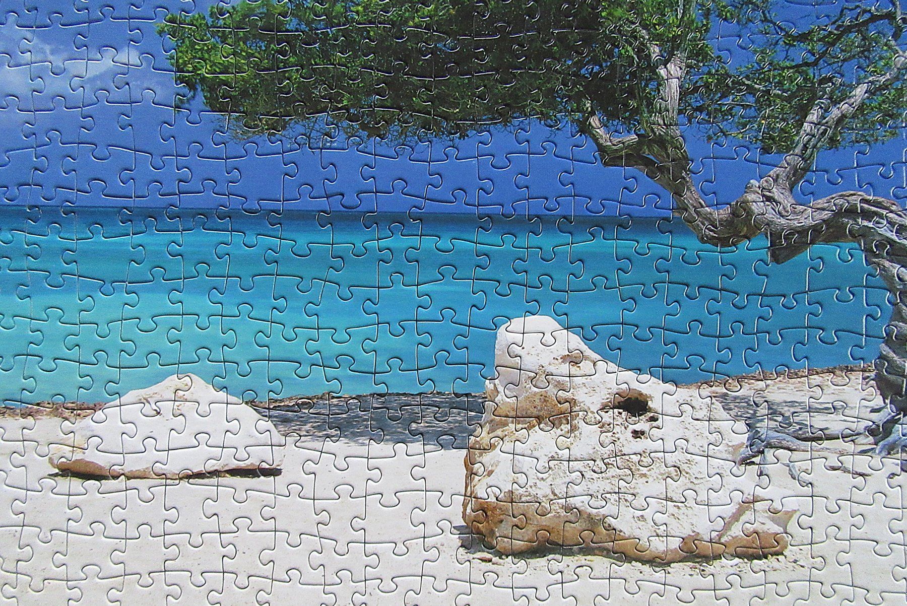Heye Puzzle: Heye Puzzle - 1000 Teile - Divi Divi Tree - komplett – Usato da Auenstein venduto da Padabimbim 3