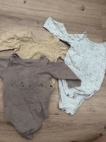 3er Set Baumwoll-Body von Hust & Claire