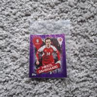 UEFA EURO 2024 Germany-PURPLE Parallel DEN3