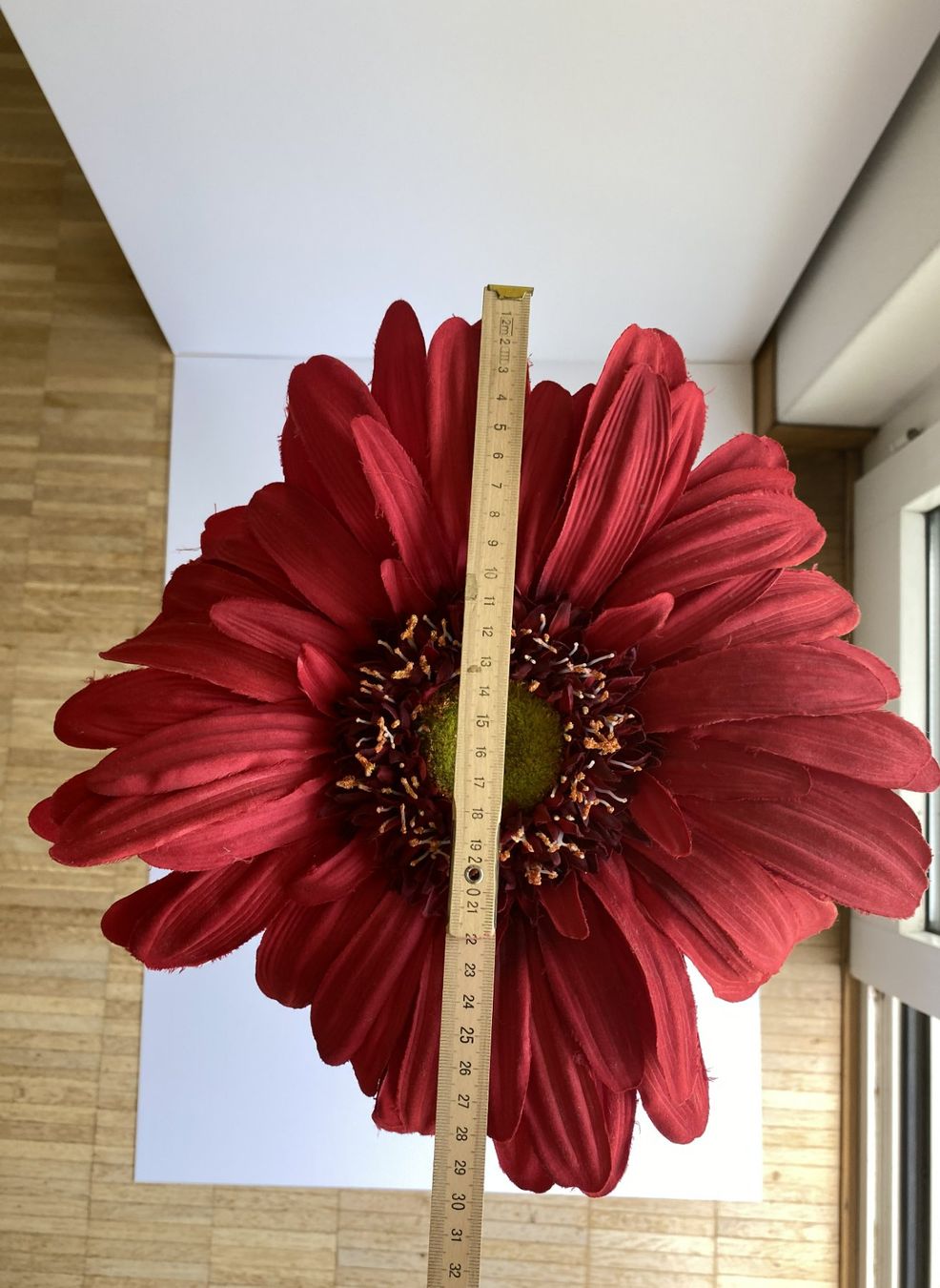 Piante & sementi: Grosse Gerbera XL - Dekoration – Usato da Kilchberg ZH venduto da Tali_1 2