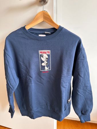 ZARA Pullover PEANUTS Gr. 158/164