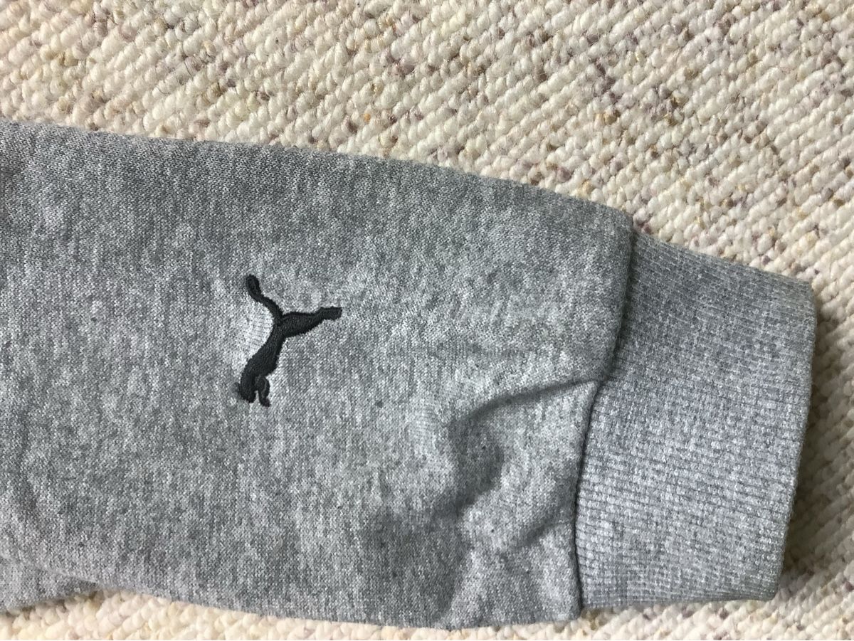 Puma Pullover & Sweatshirts: Puma Kapuzenpullover grau Grösse 152 – Gebraucht aus Thun von Skipper 2