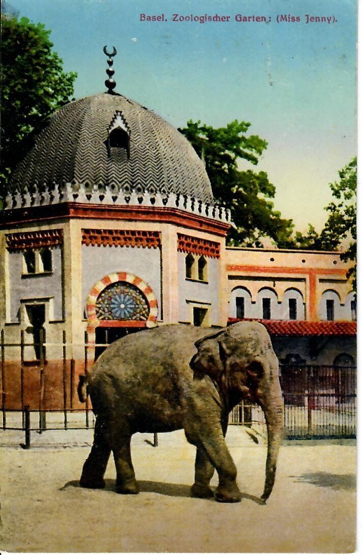 Cartoline postali: Basel Zoo 1926 – Usato da Hochdorf venduto da Ziegel-16