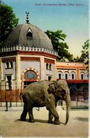 Basel Zoo 1926