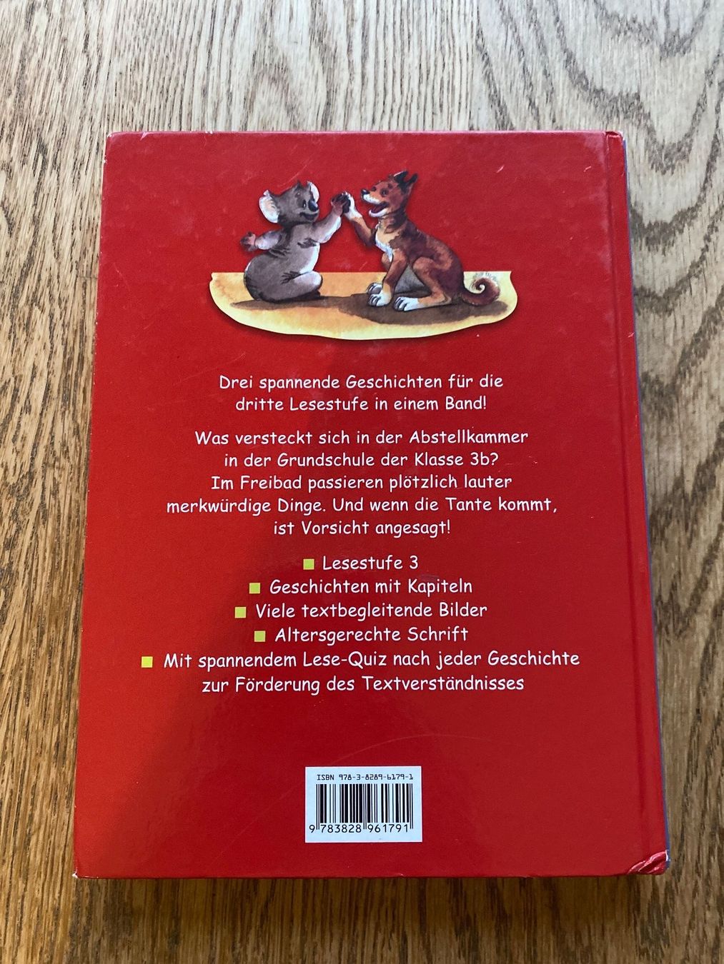 Libri: Schmöcker Geschichten – Usato da Riedholz venduto da lenibeni03 3