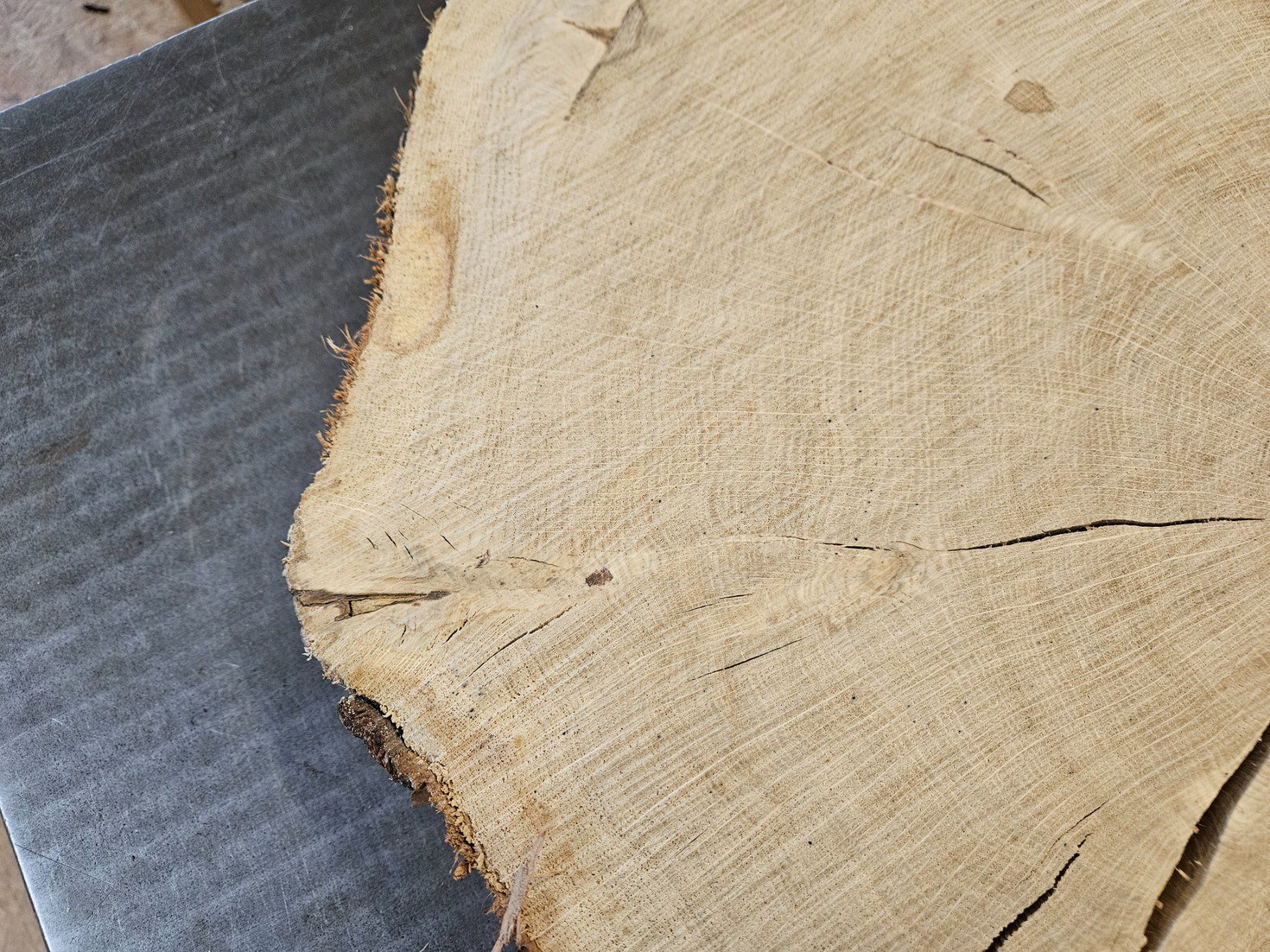 Holzartikel: Eichen Holz Baumscheibe – Neu (gemäss Beschreibung) aus Schangnau von egli6.2 8