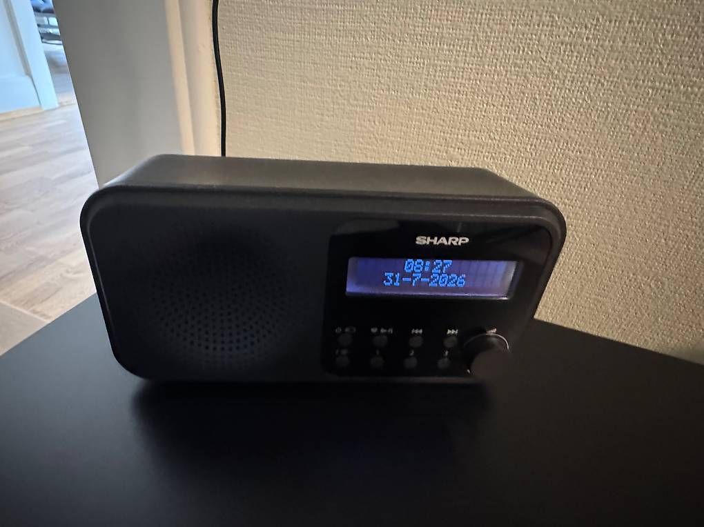 Radio: Radio Sharp – Usato da Bern venduto da figureskater