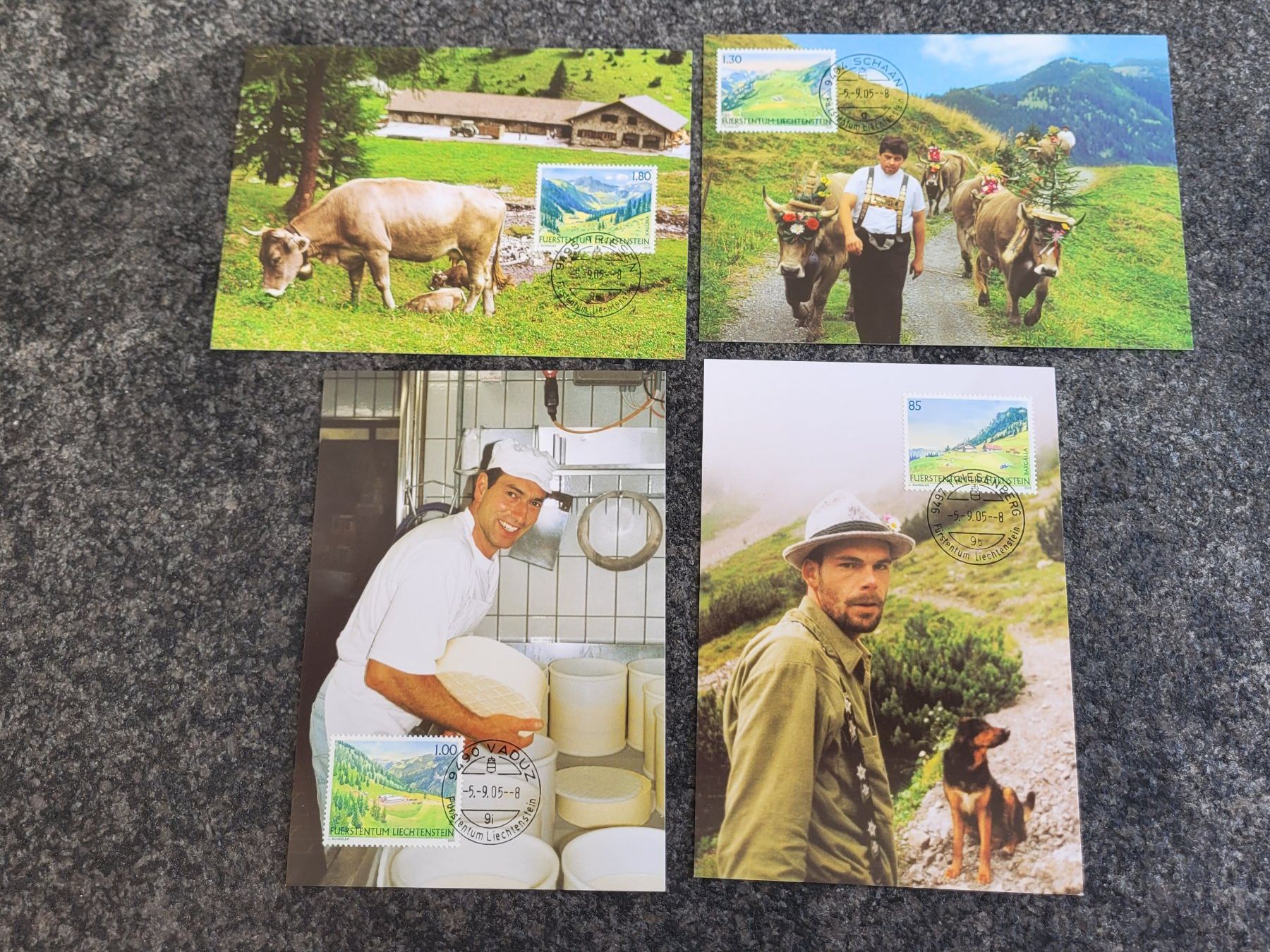 Alle Briefmarken: Maximum Karten Liechtenstein Triesenberg 2005 – Gebraucht aus Biel/Bienne von Destockweb