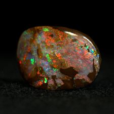 Profile image of kammmolch